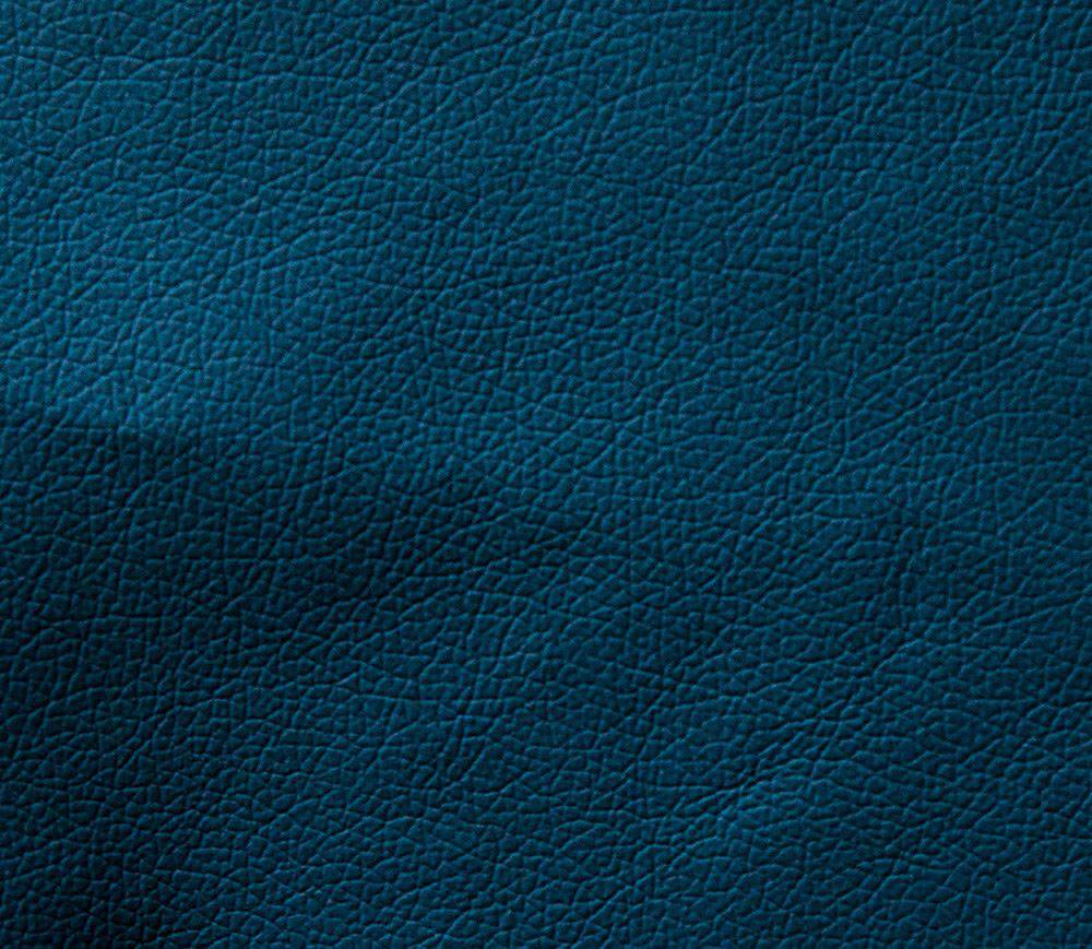Domus navy