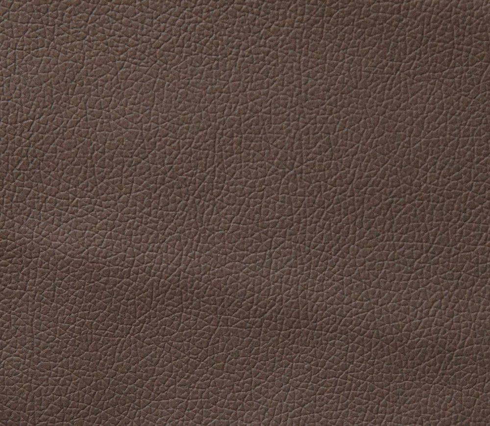 Domus taupe