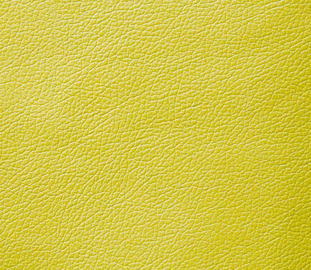 Domus lime
