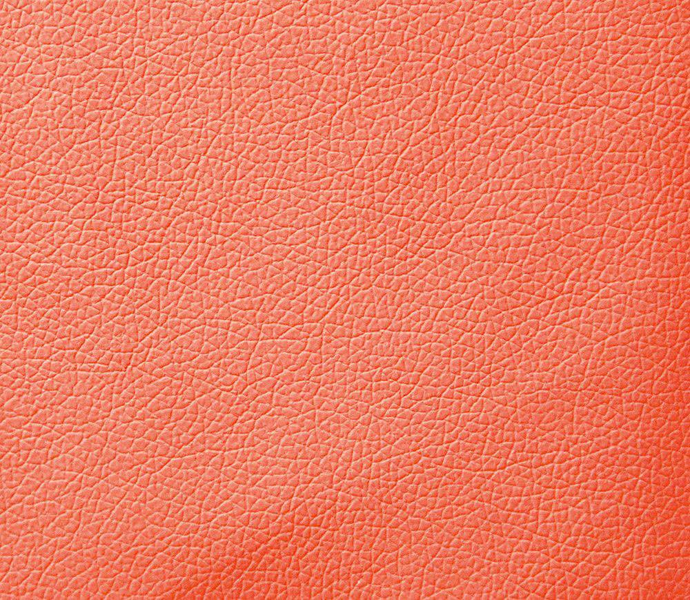 Domus coral