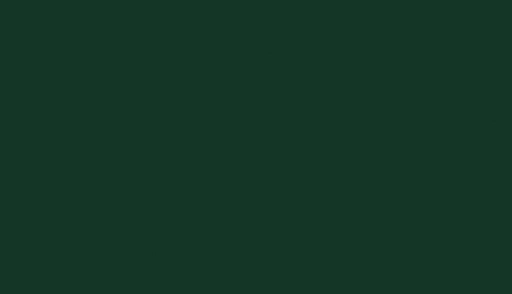 Зелёный лес U606 ST9