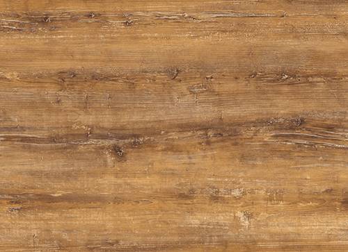 0222 Atacama Cherry